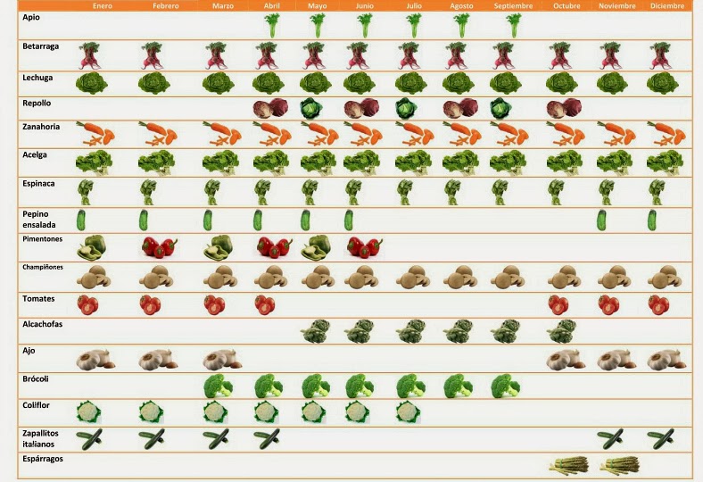Календарь овощей