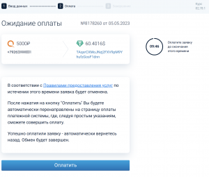 2 Netex Киви Ожидание оплаты.png