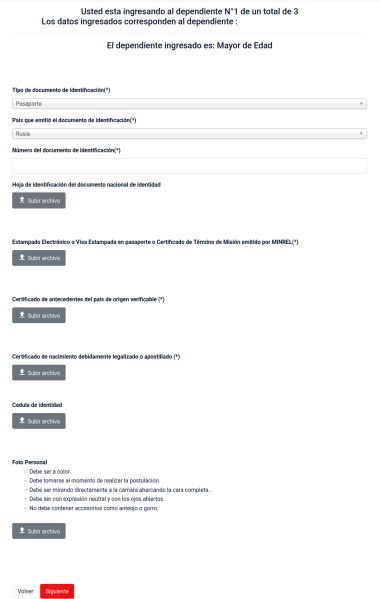Тип идентификационного документа, страна выдачи документа, номер документа, страница с фотографией документа, электронная виза, апостилированная и переведенная справка о несудимости из страны происхождения с возможностью ее проверки онлайн (только для лиц старше 18 лет), апостилированное и переведенное свидетельство о рождении (для всех, включая взрослых!), чилийское удостоверение личности с двух сторон, личное фото - цветное, на белом фоне, без очков и головного убора.
