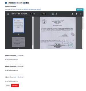 Добавление документов на визу 3.png