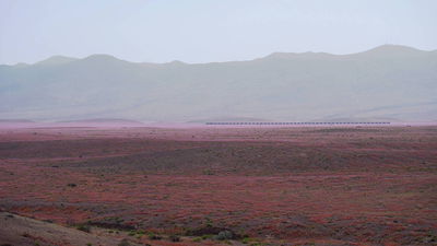 Цветущая пустыня - поезд вдали.JPG