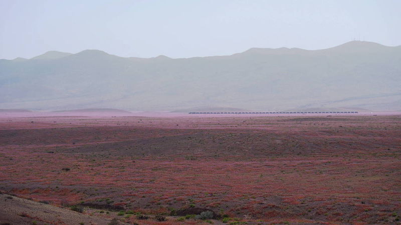 Файл:Цветущая пустыня - поезд вдали.JPG