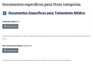 Подача на визу 7. Лечение.png