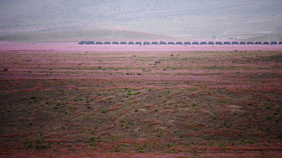 Цветущая пустыня - поезд вдали 2.JPG