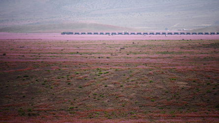 Цветущая пустыня - поезд вдали 2.JPG