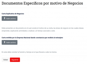 Подача на визу 7. Бизнес-виза.png