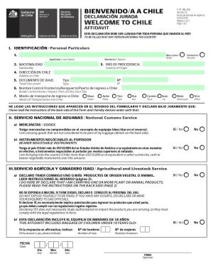 Заявление при въезде в Чили 1.jpg