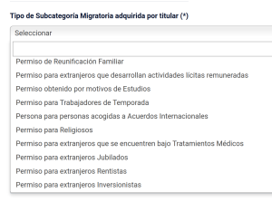 Dependiente 5 Titular Subcategorias.png