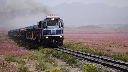 Цветущая пустыня - поезд.JPG