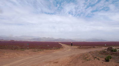 Цветущая пустыня - поле и человек.JPG