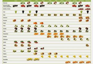Calendario de frutas.jpg