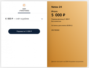 3-1 Netex Киви Оплата.png