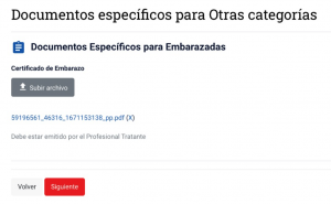 Подача на визу 7. Беременные.png