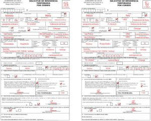 Образец заполнения заявления на временную визу.jpg