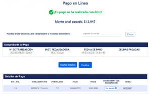 Шаг 8. Оплата через PayPal резюме.jpg