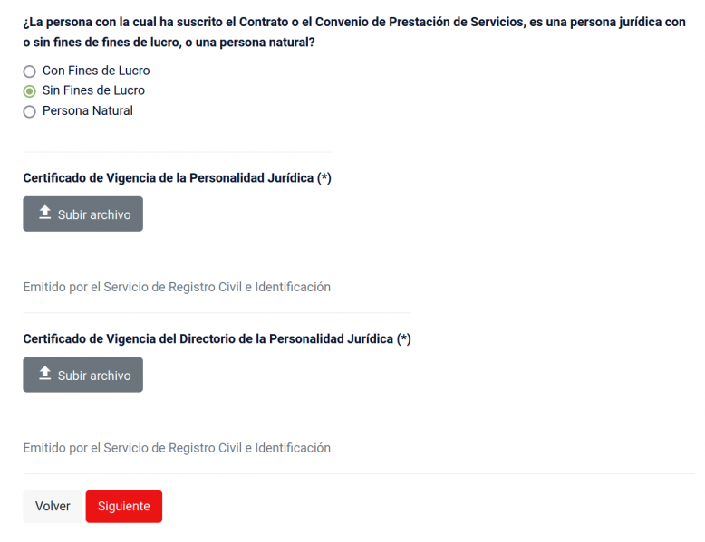 Файл:Подача на рабочую визу 7. С некоммерческой организацией.png